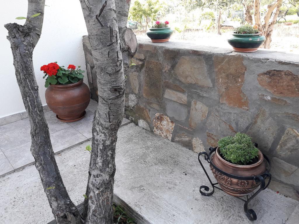Apartmán Nikiforos House Ágios Nikólaos Exteriér fotografie